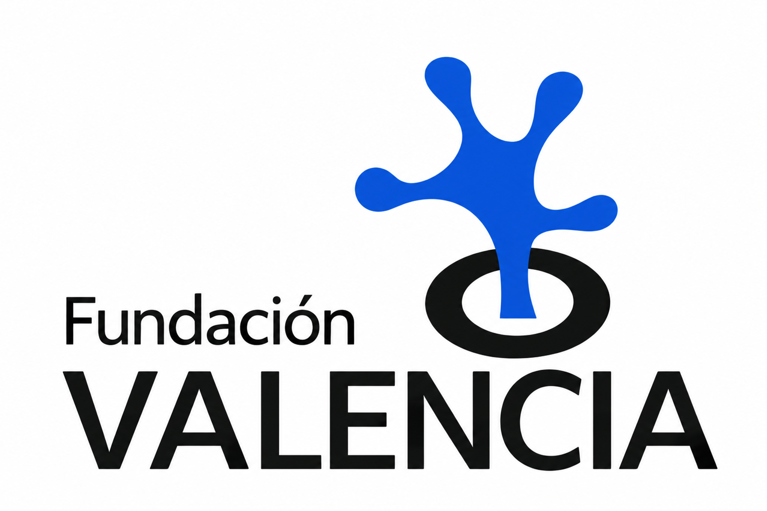 [Logo de FUNDACÍON DANIEL VALENCIA]